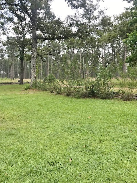 7377 Moak Road Summit, MS 39666 - Photo 29 of 30 Photo 29