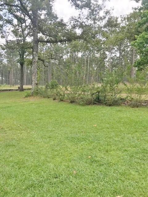 7377 Moak Road Summit, MS 39666 - Photo 30 of 30 Photo 30