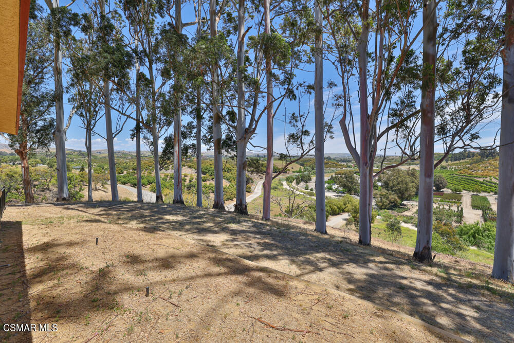 6500 Meadowglade Drive Moorpark, CA 93021 - Photo 5 of 64 a view of road with trees