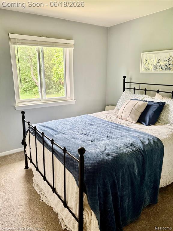 1209 Bay Ridge Drive Highland, MI 48356 - Photo 19 of 32