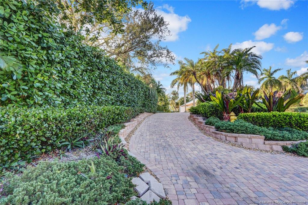 51 North River Road Stuart, FL 34996 - Photo 3 of 59 a view of a garden with palm trees