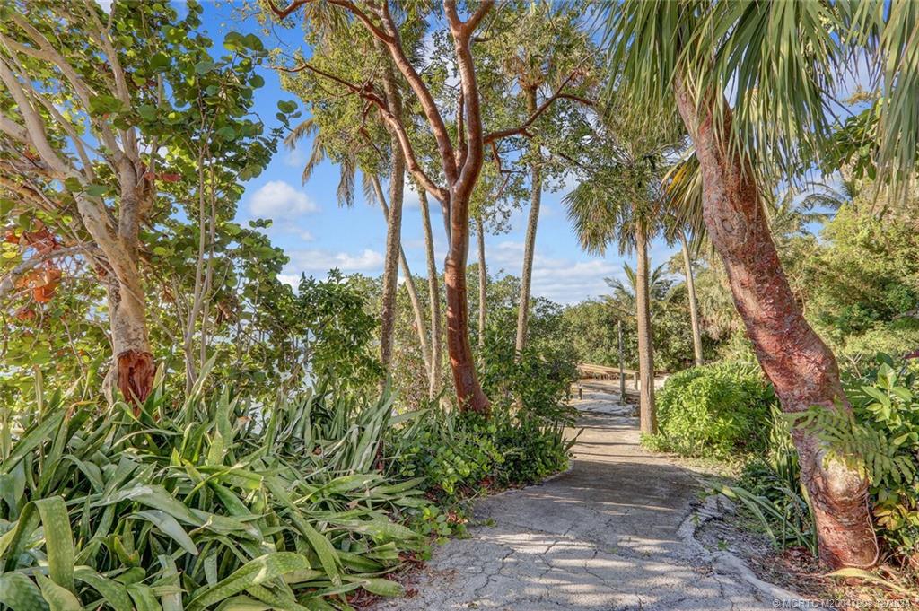 51 North River Road Stuart, FL 34996 - Photo 42 of 59 a view of a garden