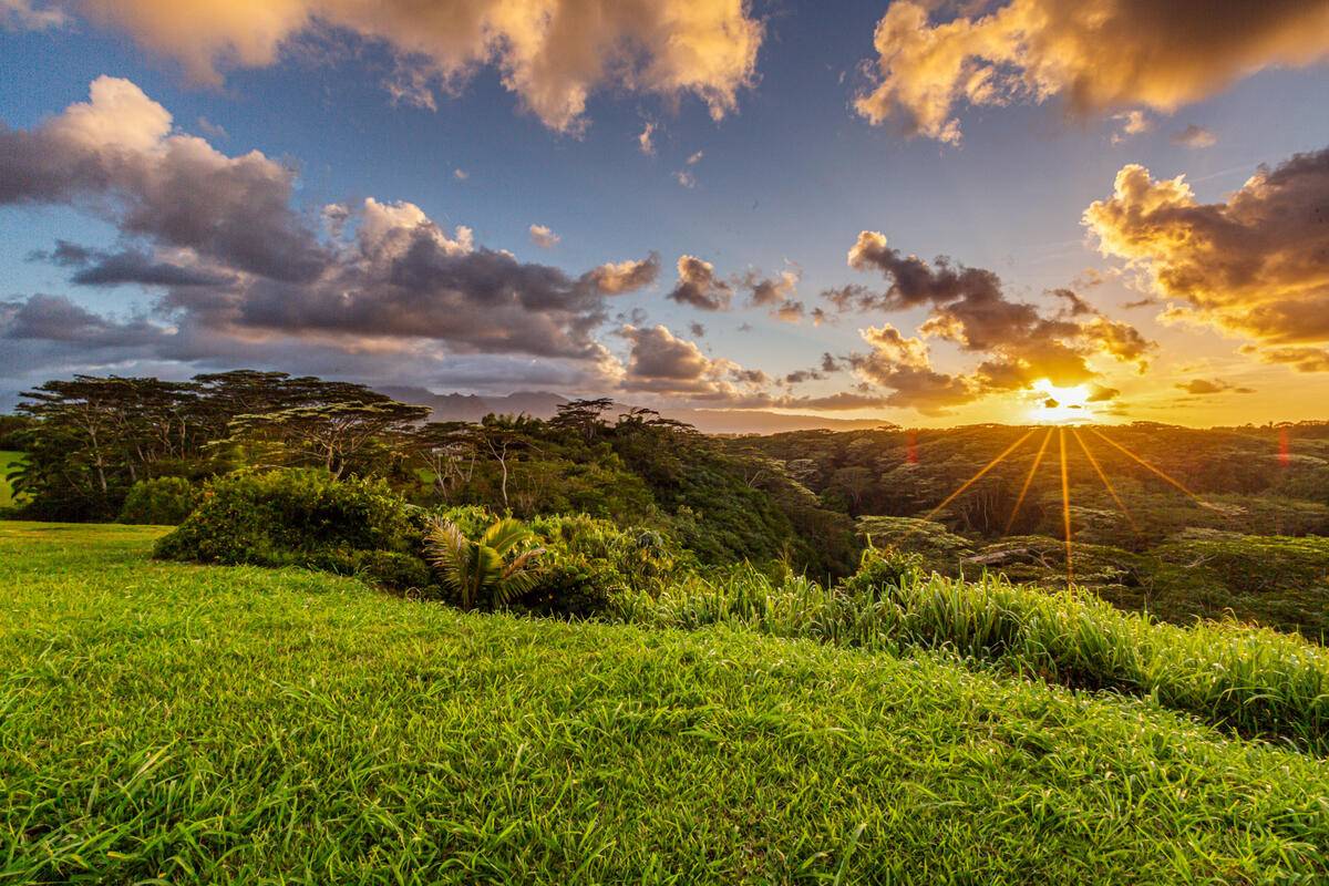 4858 Kahiliholo Road, Unit #3 Kilauea, HI 96754 - Photo 4 of 22 a view of a city