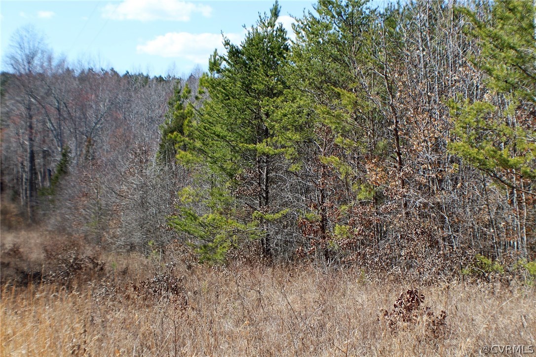 639 Towler Road Drakes Branch, VA 23937 - Photo 20 of 23 Gallery Image 20