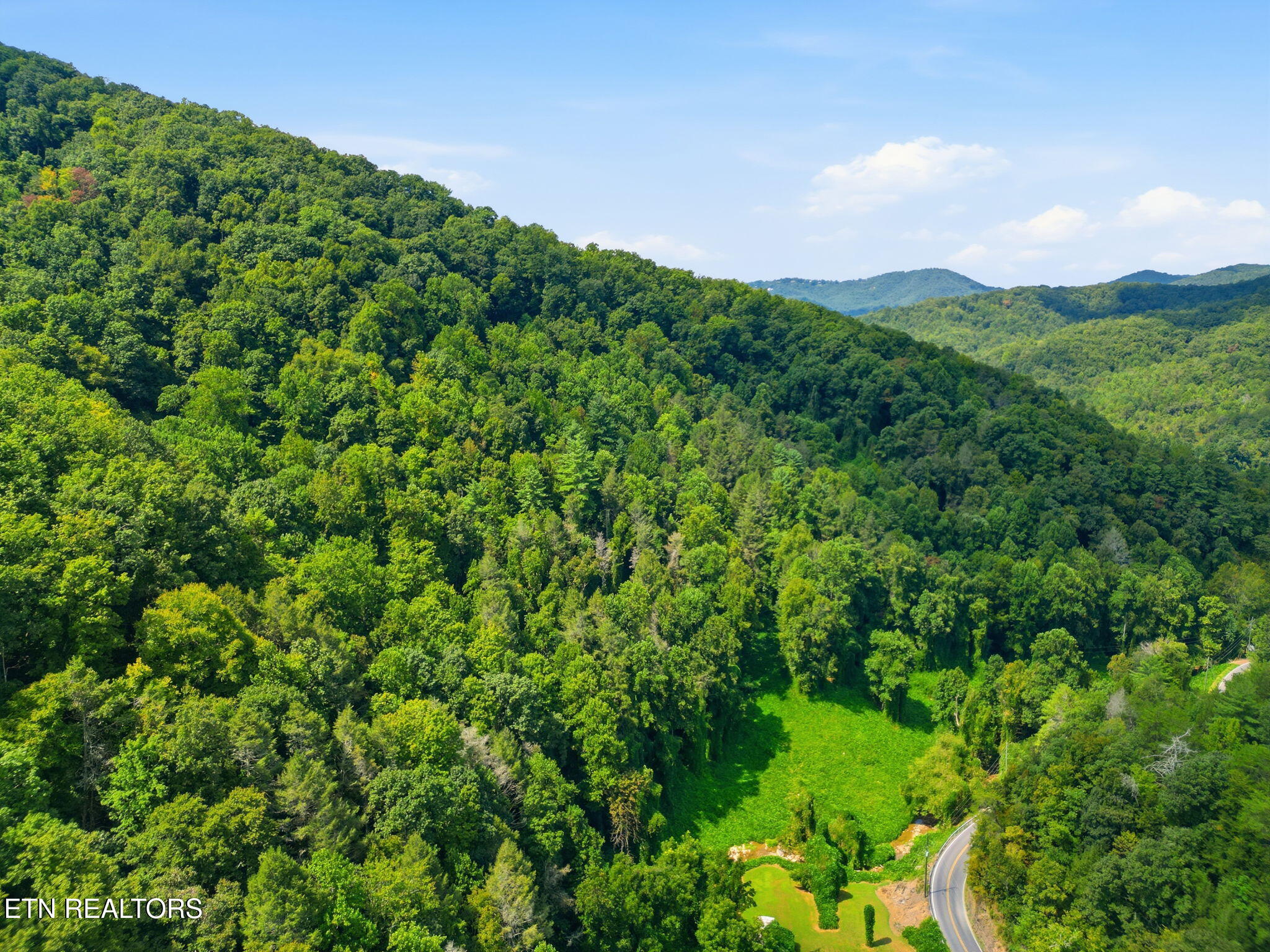 3910 Wilhite Road Sevierville, TN 37876 - Photo 16 of 45 16-web-or-mls-DJI_0897