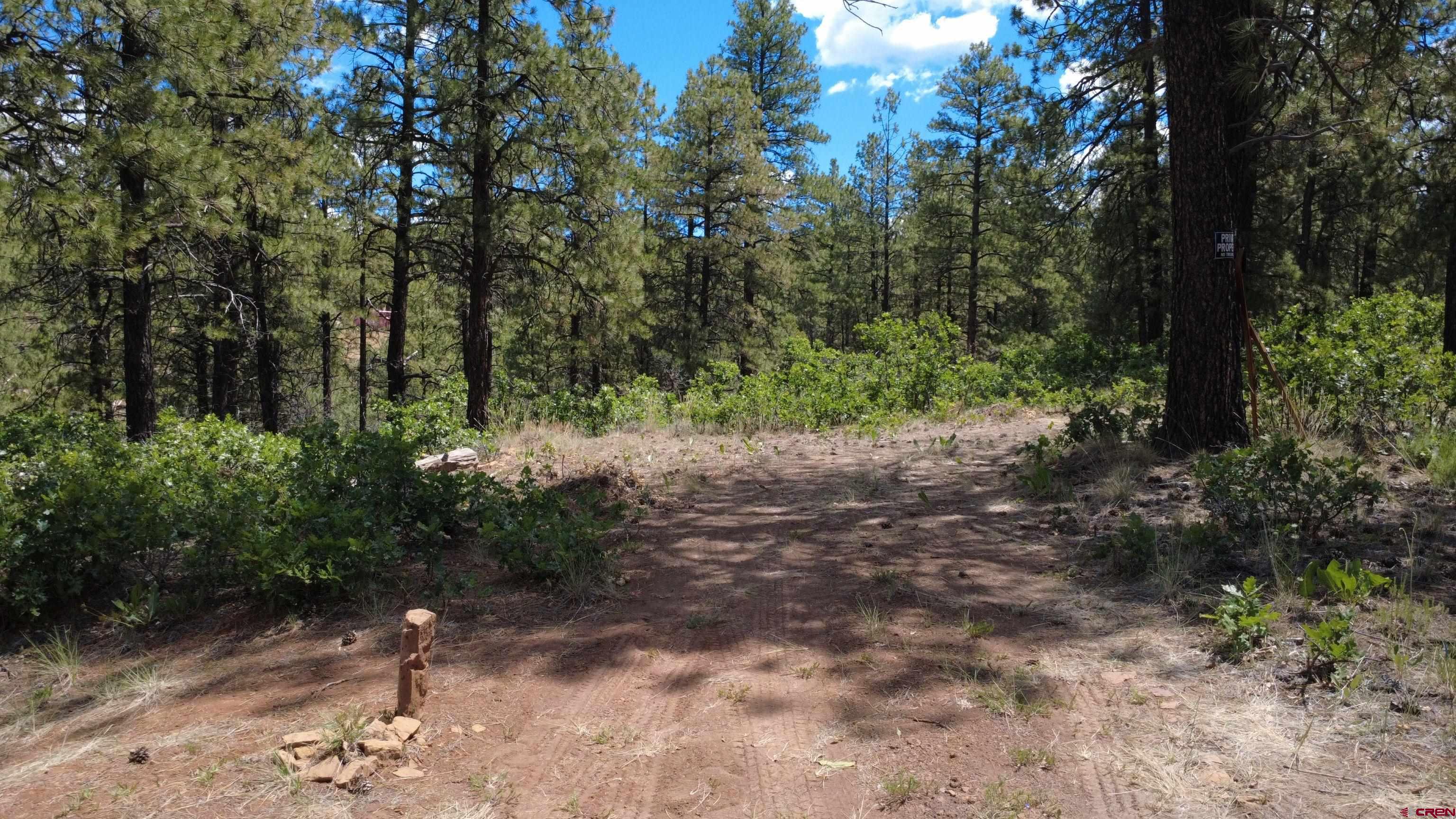 121 Engineer Point Pagosa Springs, CO 81147 - Photo 5 of 43