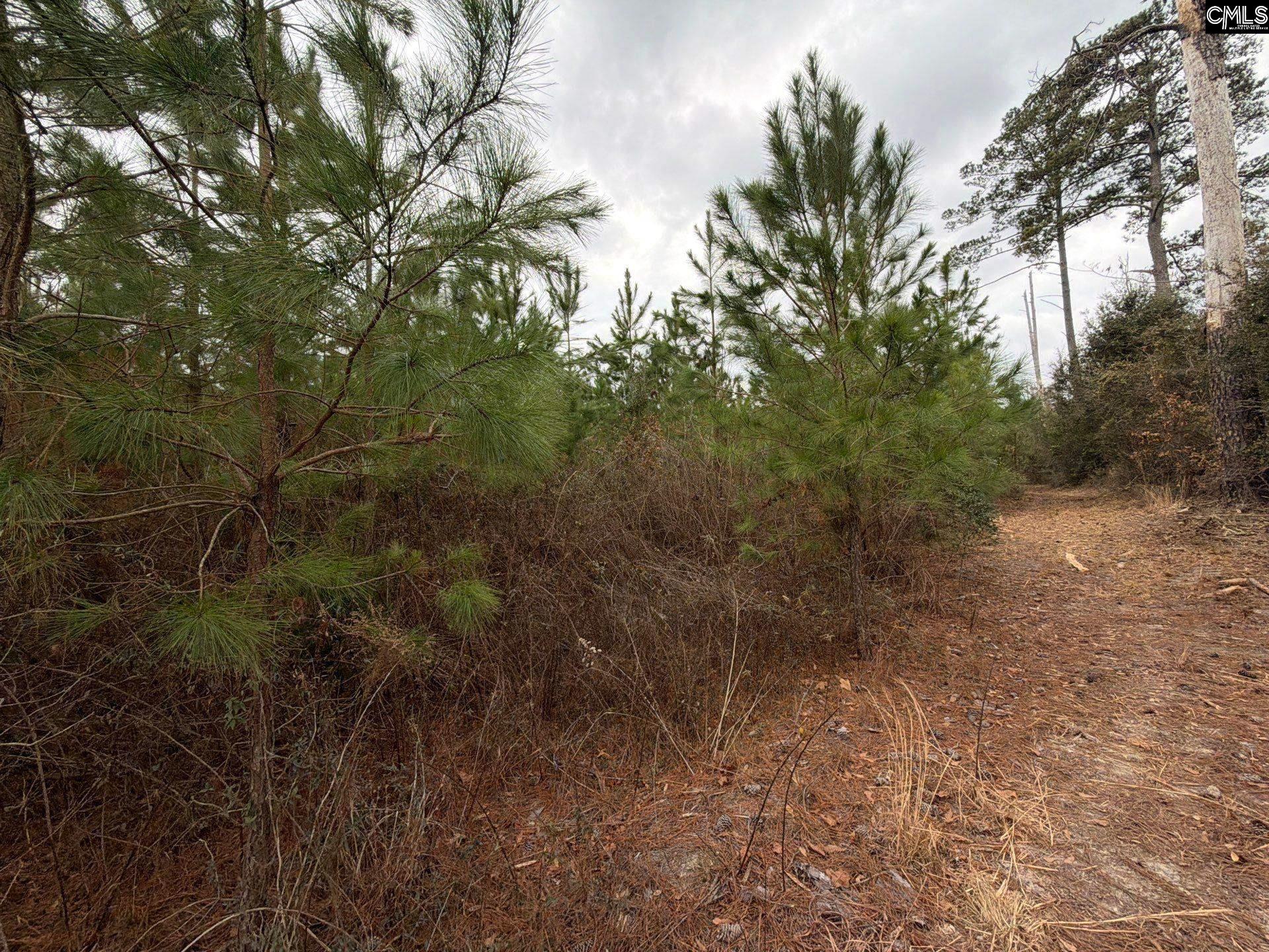 4 Jc Barefoot Road, Unit BFF II 4 Patrick, SC 29584 - Photo 5 of 32