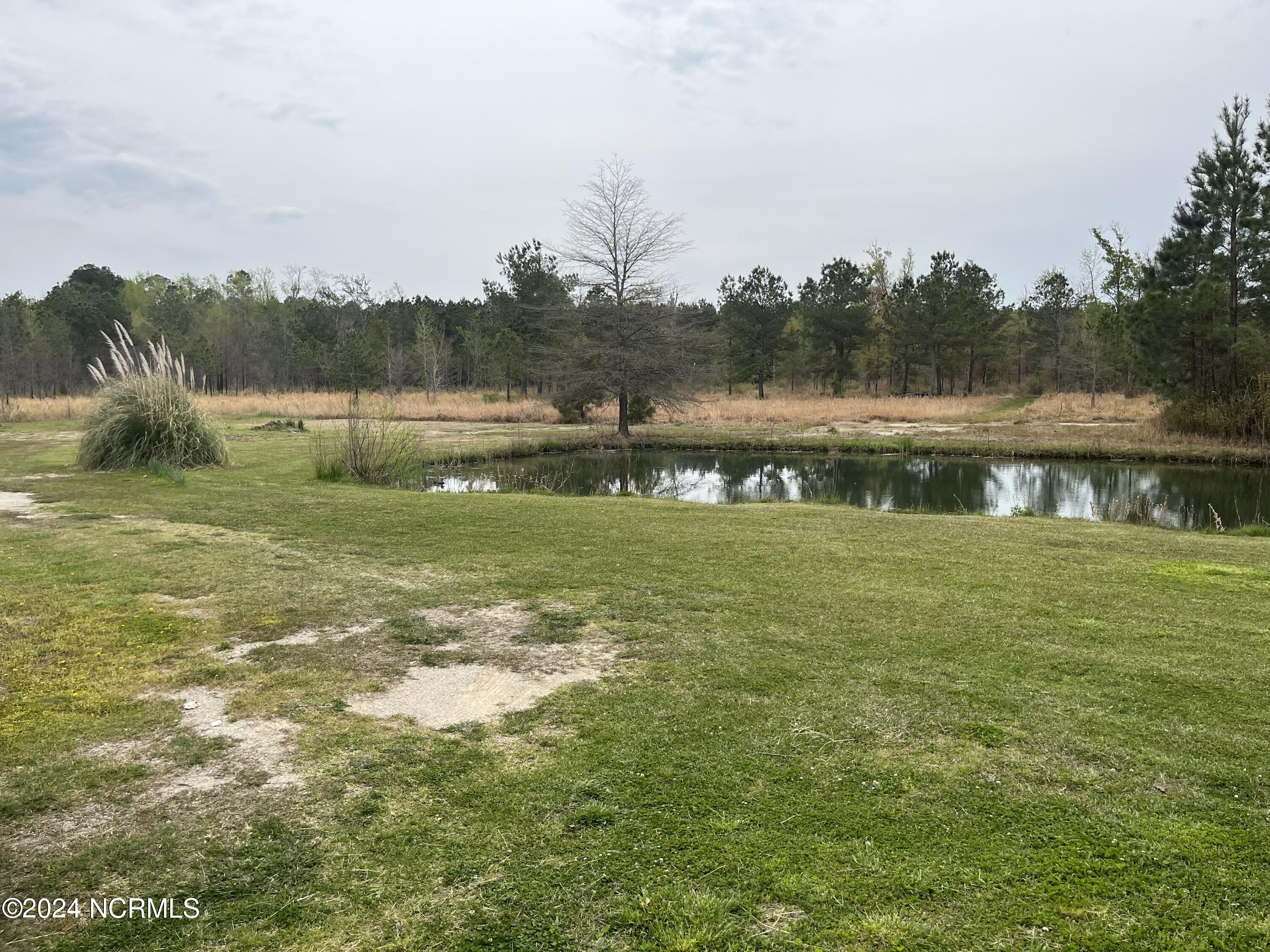 281 Rance Buck Road Vanceboro, NC 28586 - Photo 2 of 13 IMG_0279