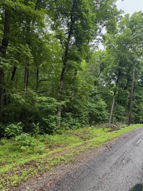 0 Mayapple Drive Cadiz, KY 42211 - Photo 2 of 6 a view of a yard with plants and large trees