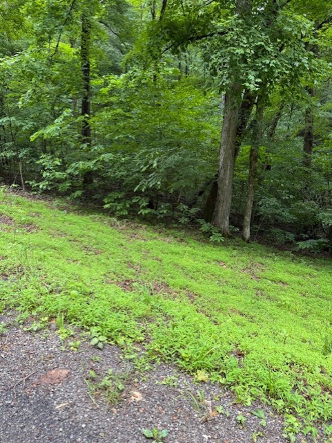 0 Mayapple Drive Cadiz, KY 42211 - Photo 4 of 6 a view of an outdoor space with a lake view