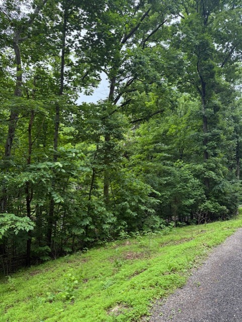 0 Mayapple Drive Cadiz, KY 42211 - Photo 5 of 6 a view of a lush green forest