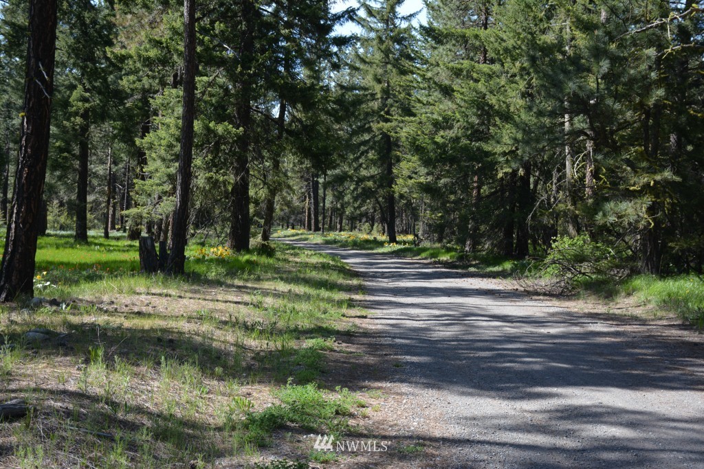 -xx Winston Road Ronald, WA 98940 - Photo 2 of 8 Gallery Image 2