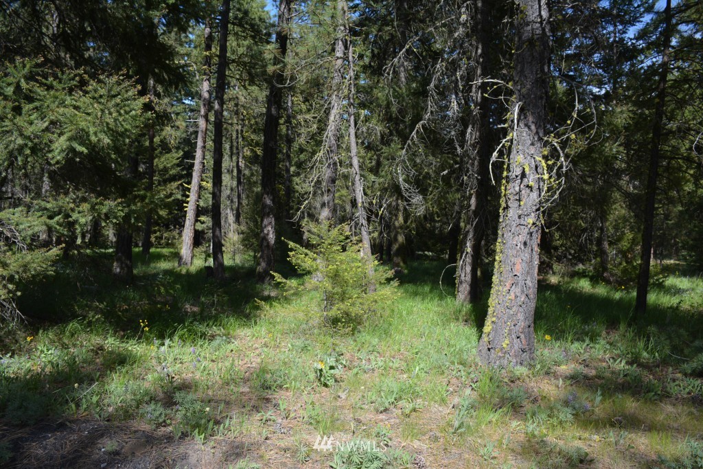 -xx Winston Road Ronald, WA 98940 - Photo 8 of 8 Gallery Image 8