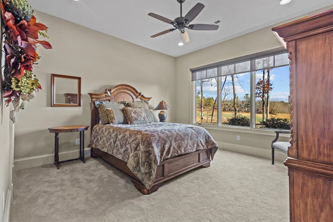 103 9 Bark Way Sunset, SC 29685 - Photo 32 of 50 3rd Bedroom-lower level