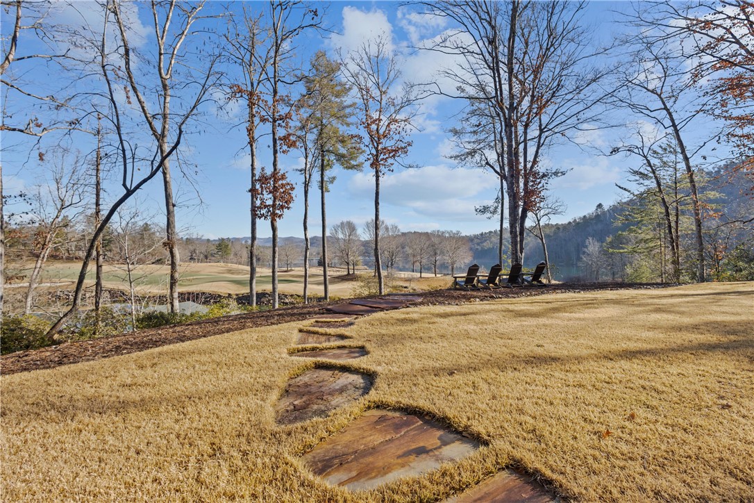 103 9 Bark Way Sunset, SC 29685 - Photo 44 of 50 Gallery Image 44