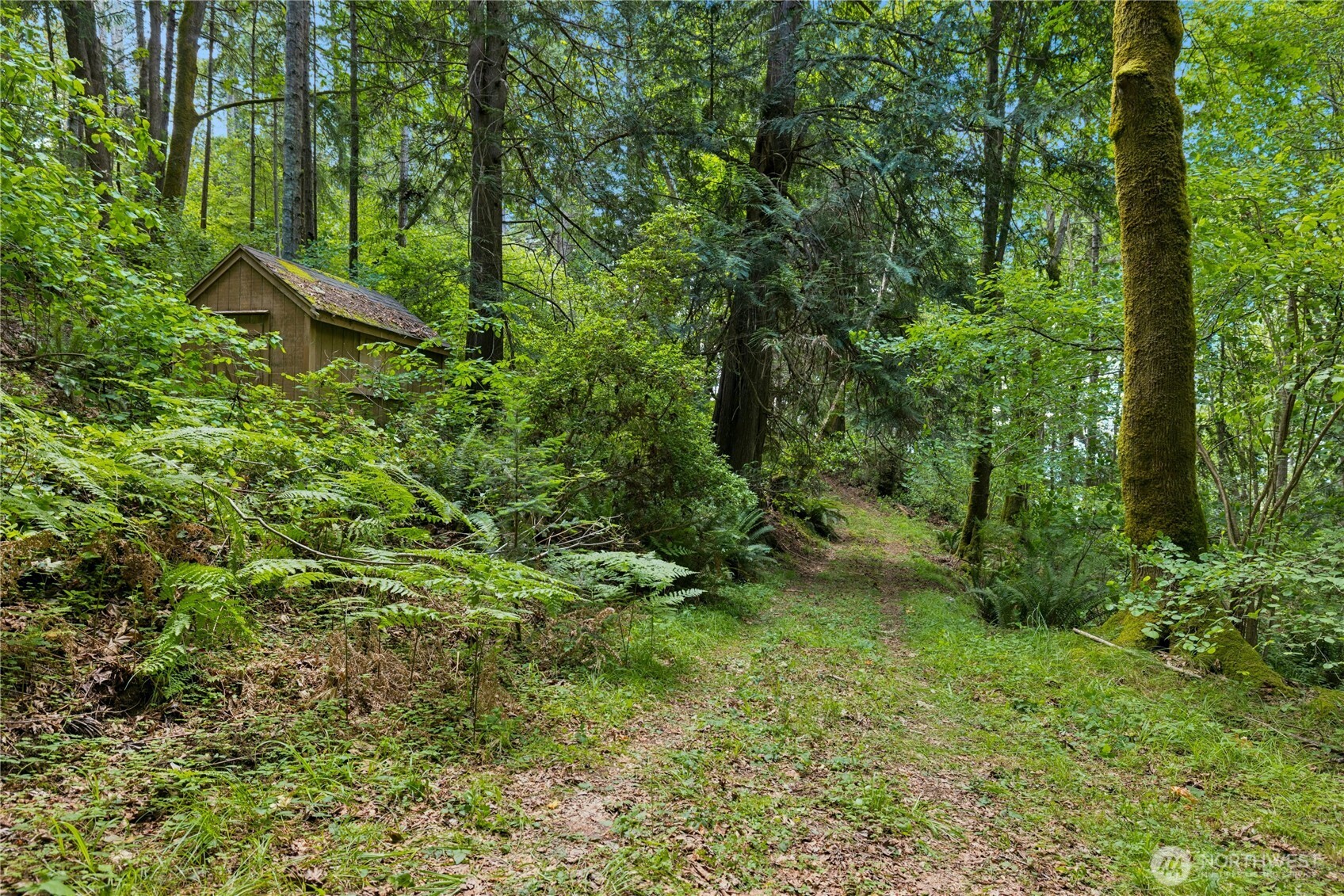 0 K-tract 9 Mcdonald Road Quilcene, WA 98376 - Photo 10 of 31