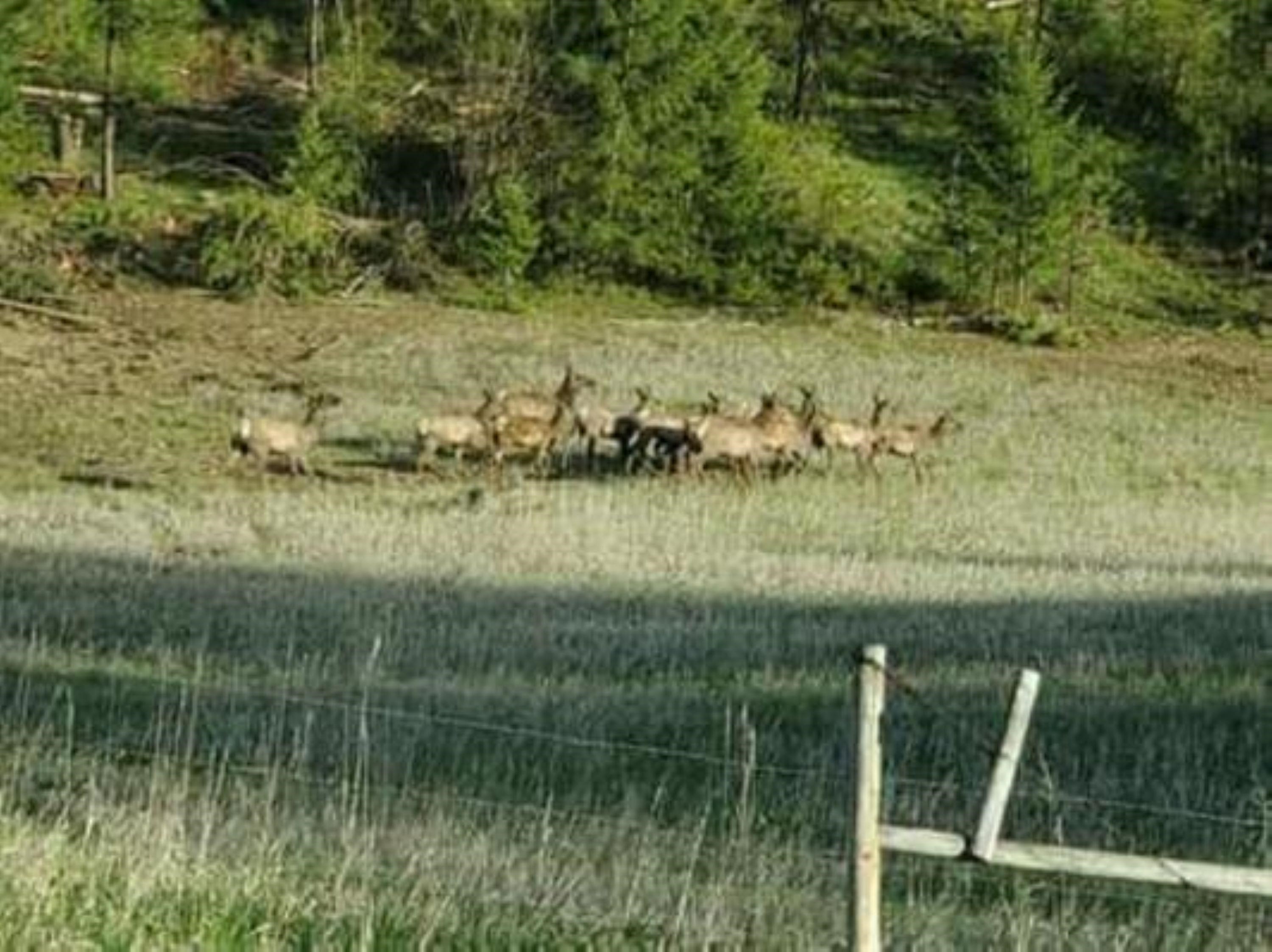 6066 Turk Road Fruitland, WA 99129 - Photo 2 of 32