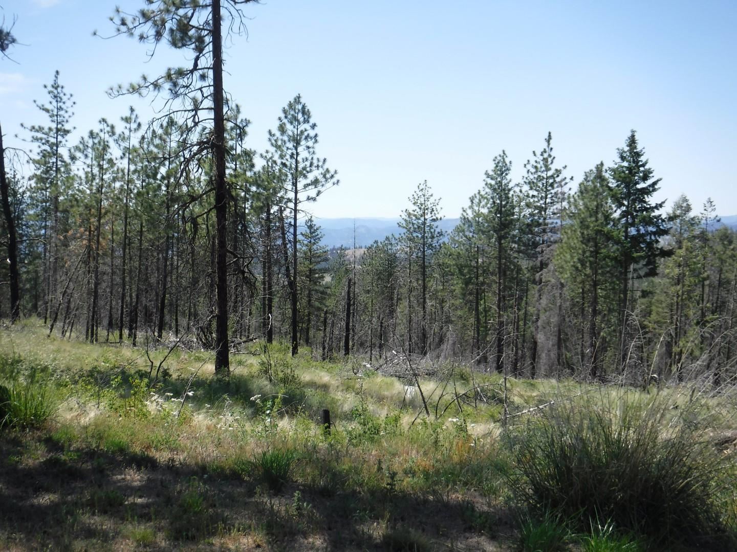 6066 Turk Road Fruitland, WA 99129 - Photo 28 of 32