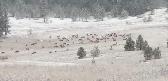 $179,000 | 6066 Turk Road, Fruitland, WA 99129