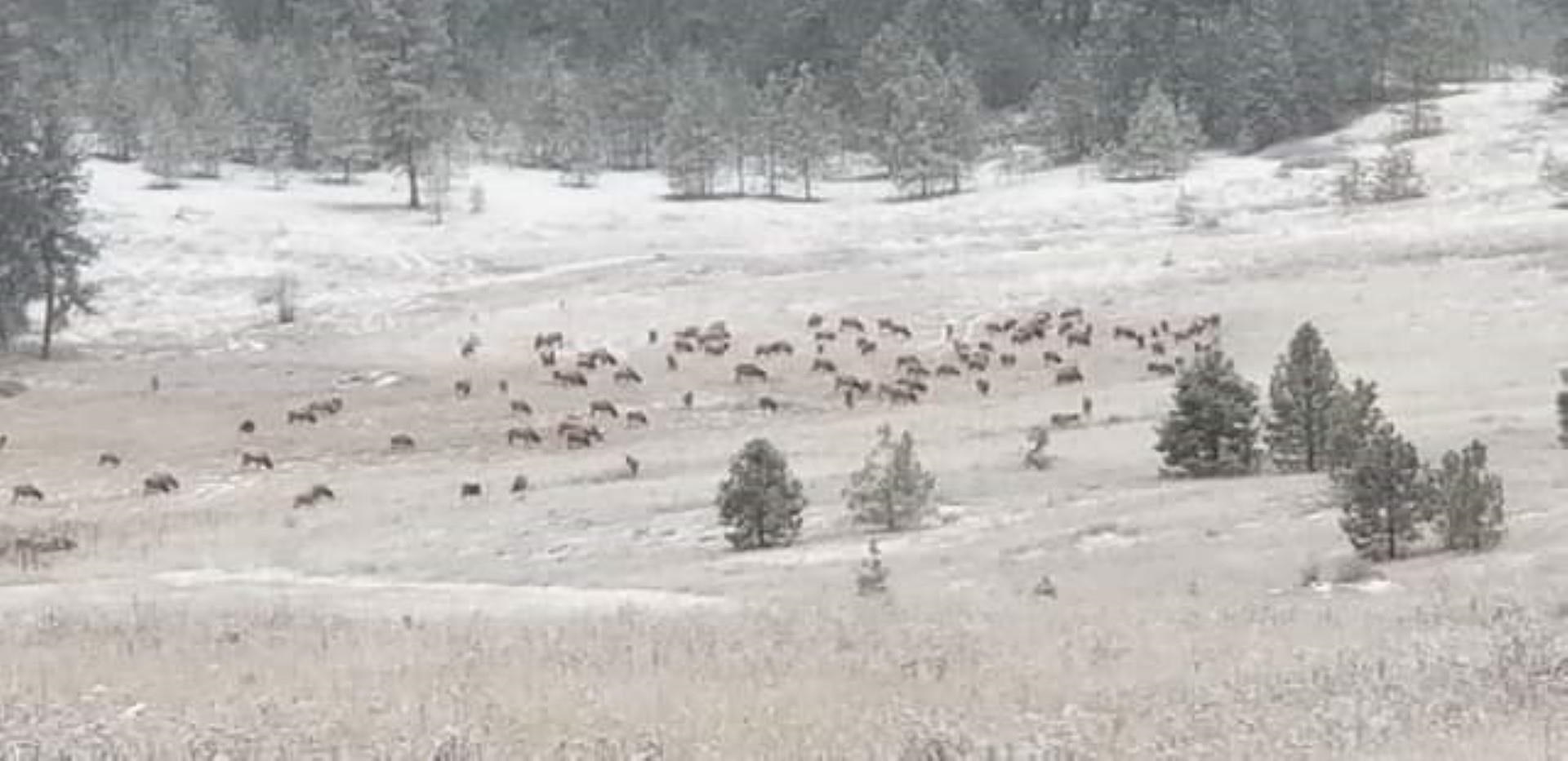 6066 Turk Road Fruitland, WA 99129 - Photo 3 of 32