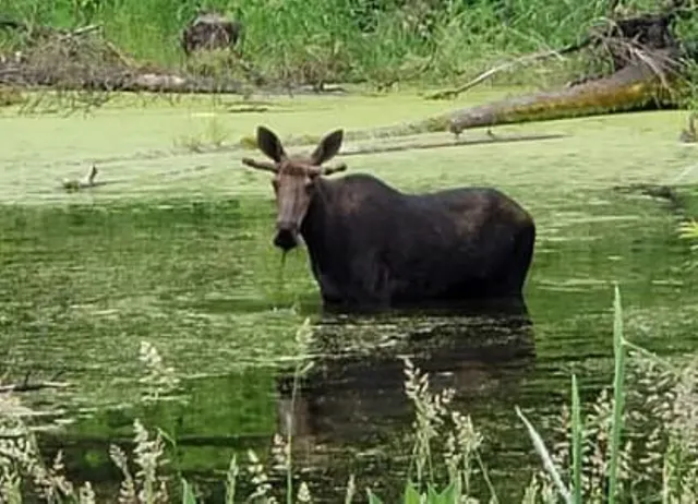 $179,000 | 6066 Turk Road, Fruitland, WA 99129