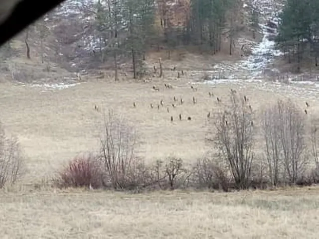 $179,000 | 6066 Turk Road, Fruitland, WA 99129