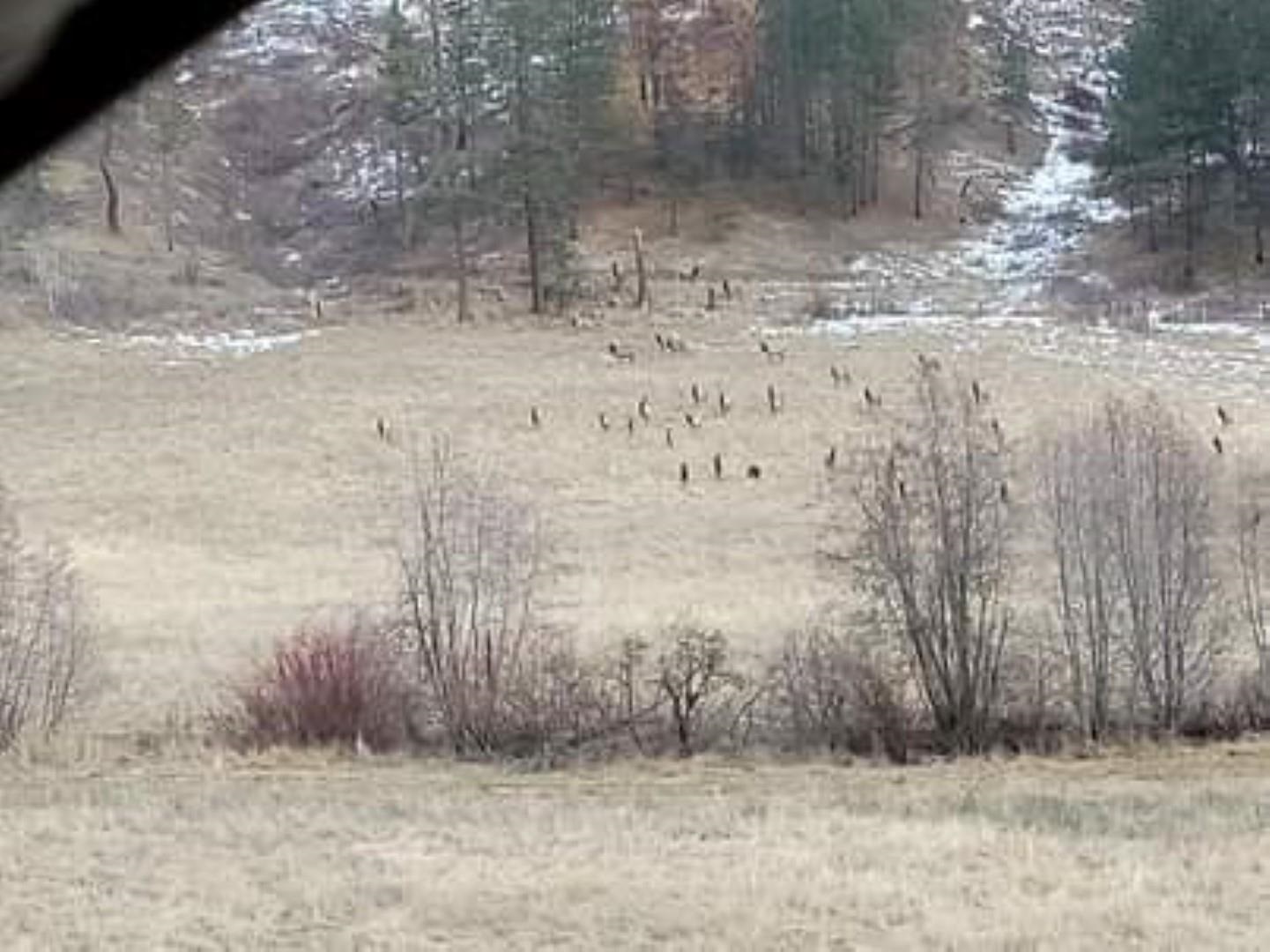 6066 Turk Road Fruitland, WA 99129 - Photo 5 of 32