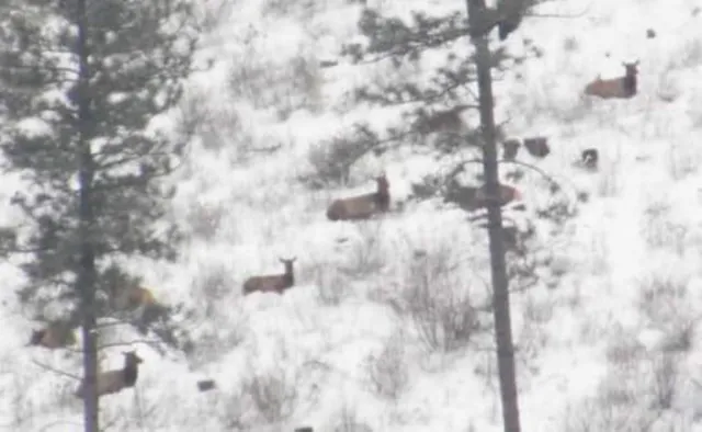 $179,000 | 6066 Turk Road, Fruitland, WA 99129