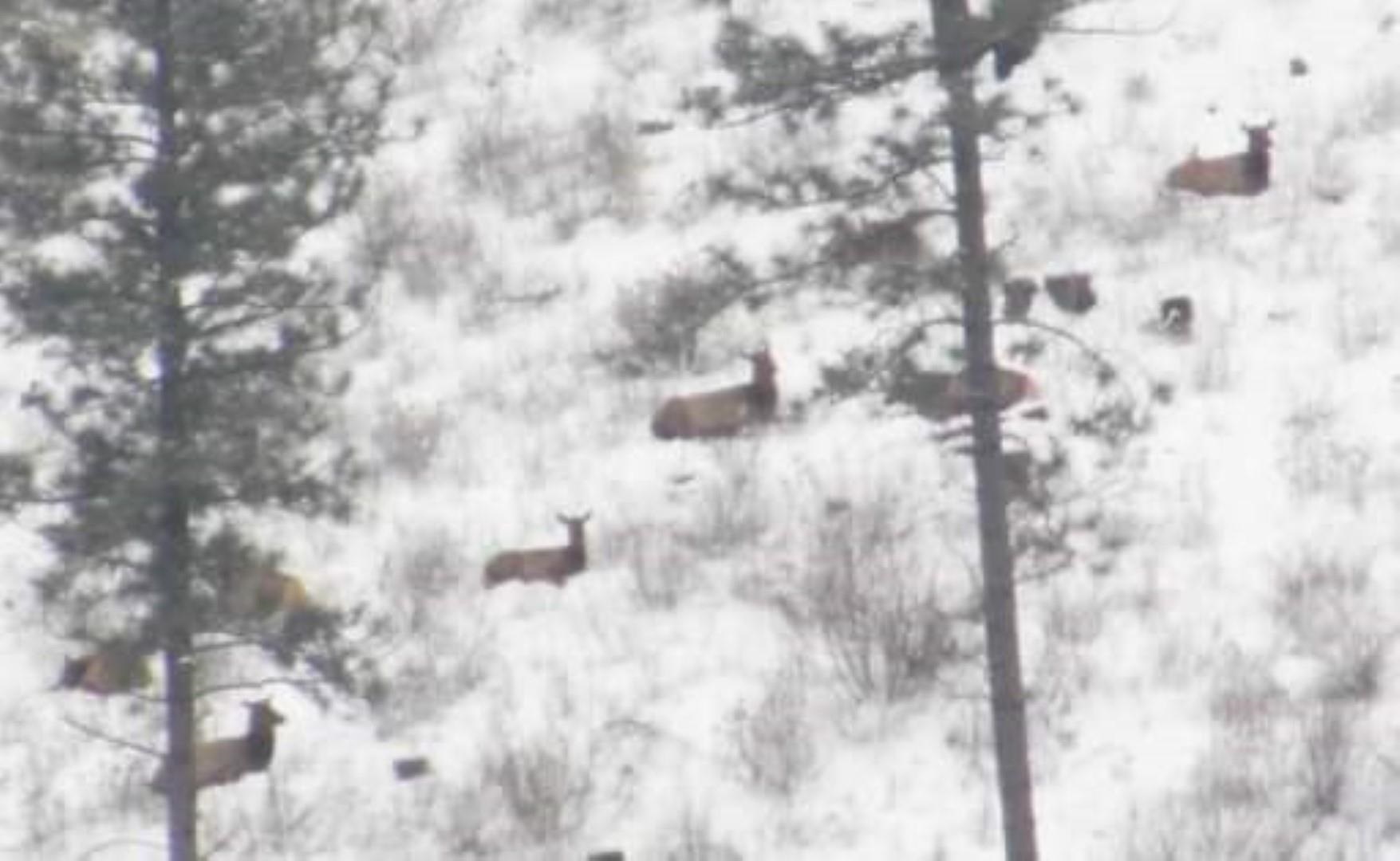 6066 Turk Road Fruitland, WA 99129 - Photo 6 of 32