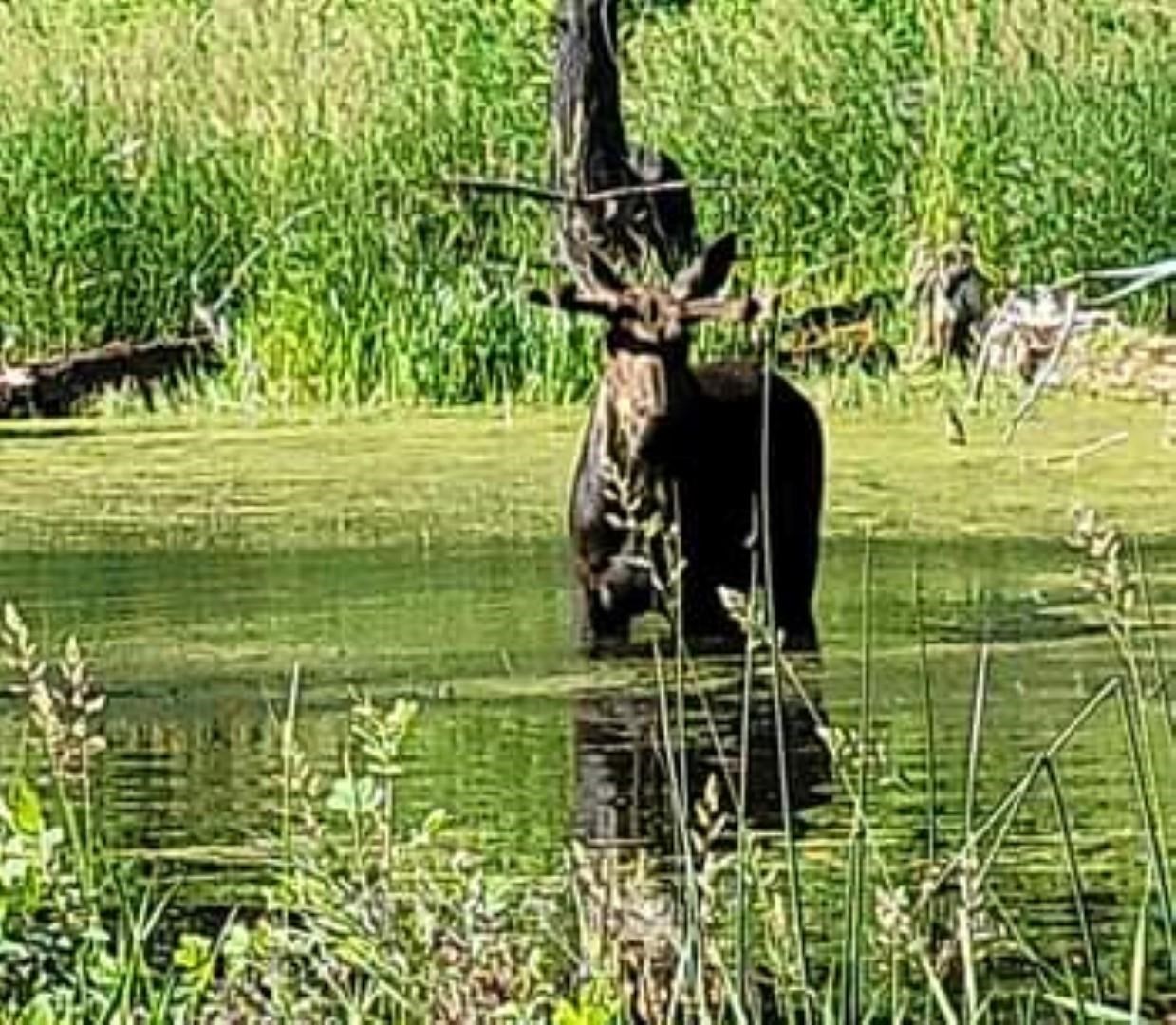 6066 Turk Road Fruitland, WA 99129 - Photo 7 of 32