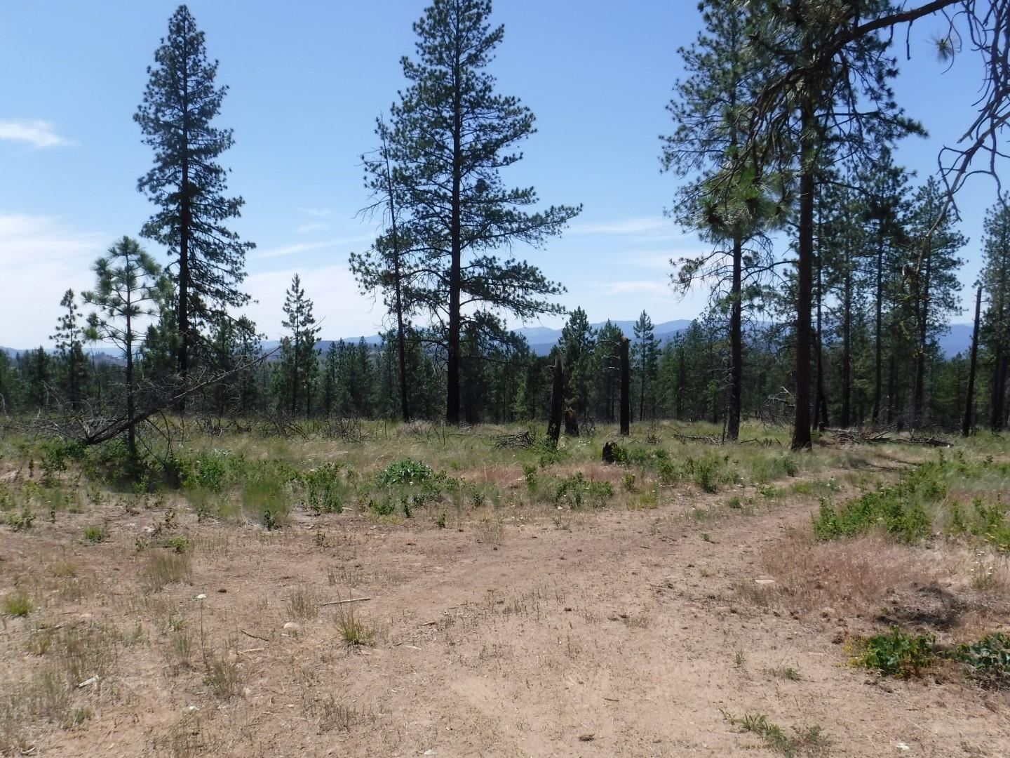 6066 Turk Road Fruitland, WA 99129 - Photo 8 of 32