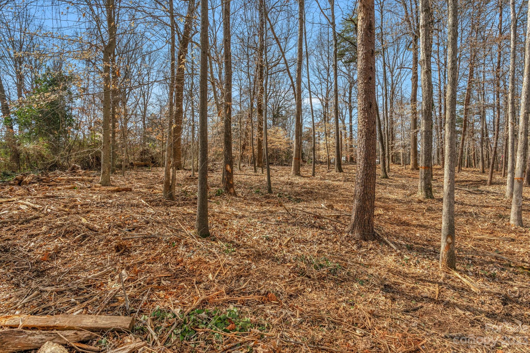 0 Tuckalake Road, Unit 18 Charlotte, NC 28215 - Photo 15 of 20 Gallery Image 15