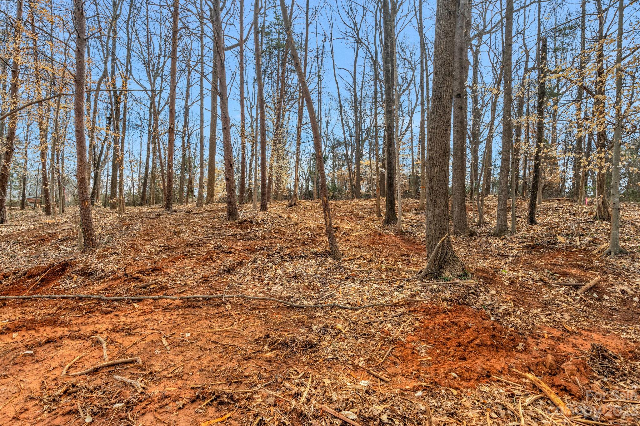 0 Tuckalake Road, Unit 18 Charlotte, NC 28215 - Photo 8 of 20 Gallery Image 8