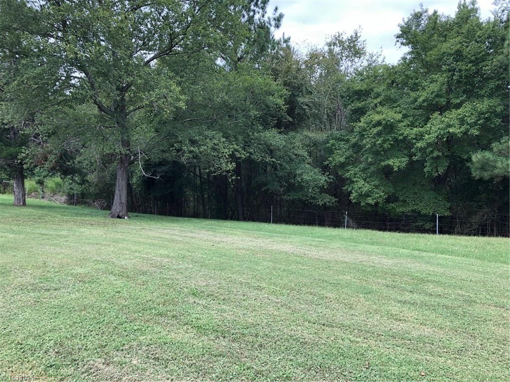 1602 Petty Road Graham, NC 27253 - Photo 3 of 15 Back yard