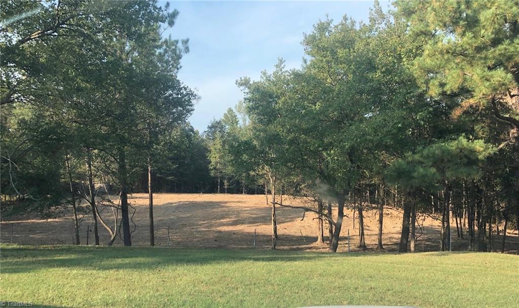 1602 Petty Road Graham, NC 27253 - Photo 4 of 15 Fence pasture approx. 2 acres. View of Haw River in winter time