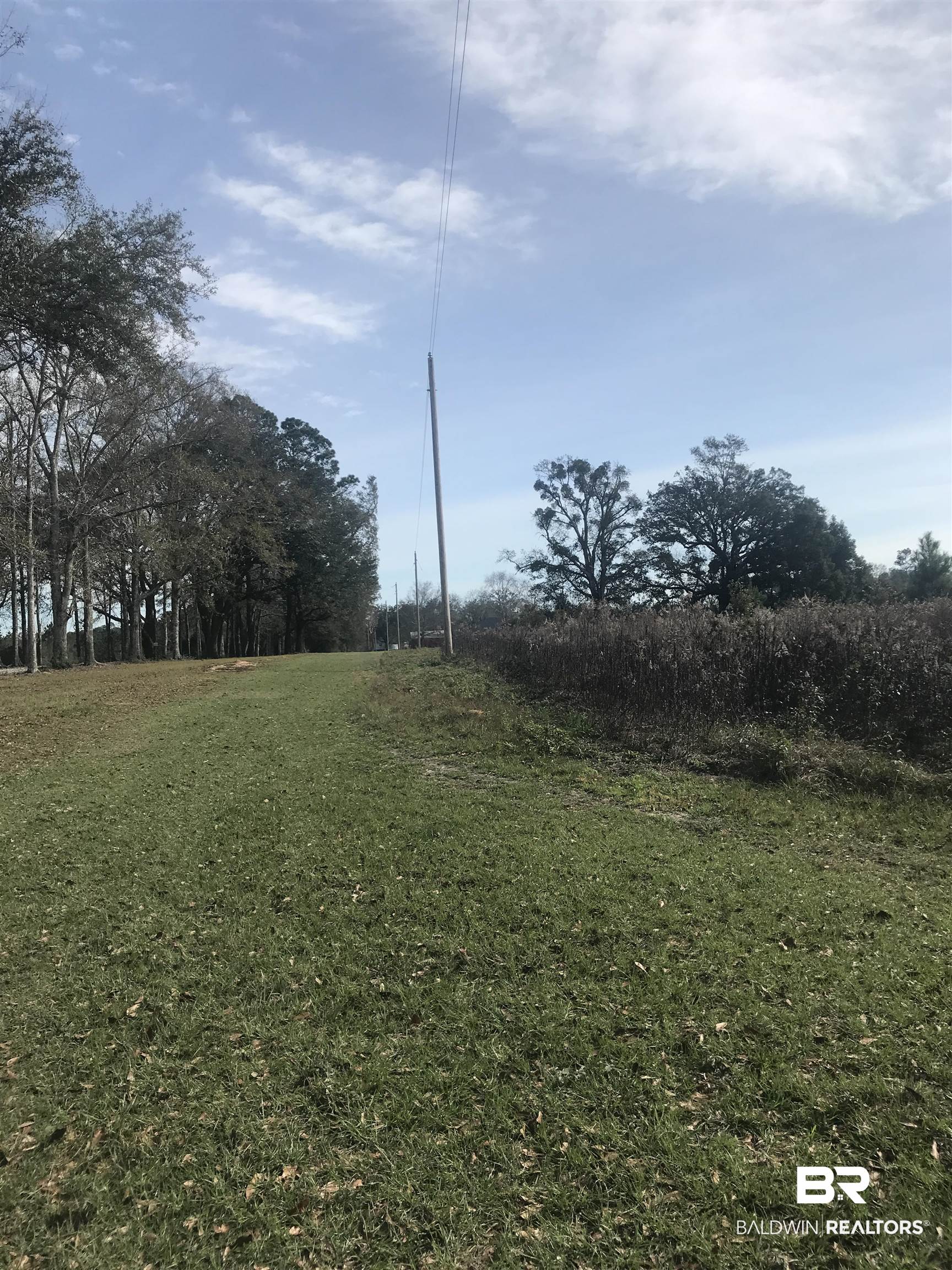 0 Steadham Lane Robertsdale, AL 36567 - Photo 6 of 24