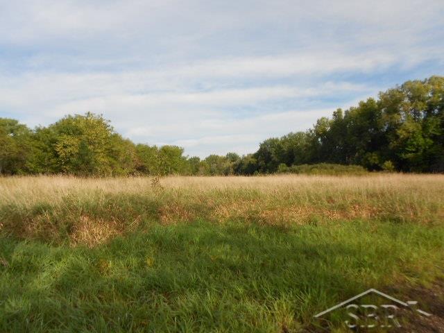 V/l Midland Road Freeland, MI 48623 - Photo 6 of 10