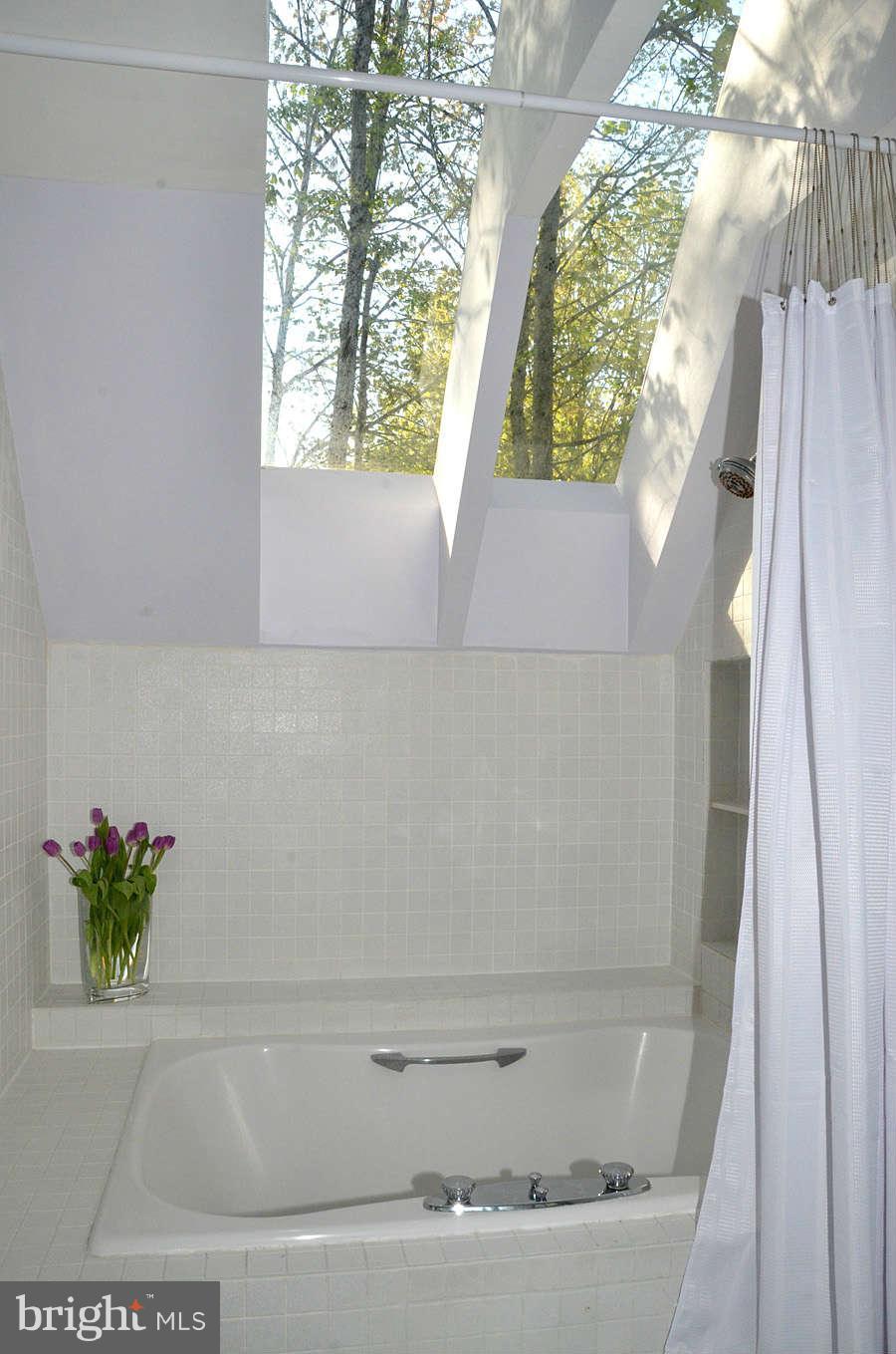 11503 Turnbridge Lane Reston, VA 20194 - Photo 19 of 30 Bath (Master)