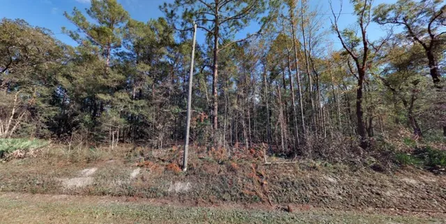 $59,900 | 10410 Vaughan Avenue, Hastings, FL 32145