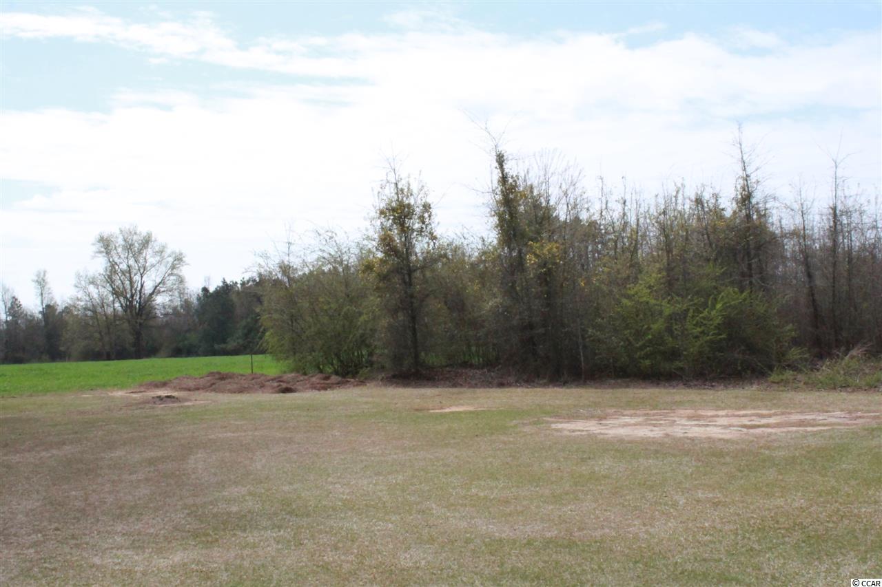 3049 Buck Swamp Road Fork, SC 29543 - Photo 18 of 19 Gallery Image 18