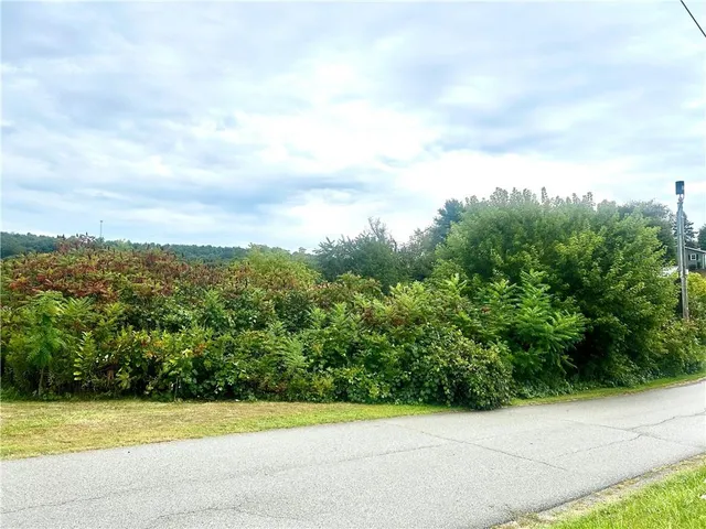 a view of a yard with plants and a bench