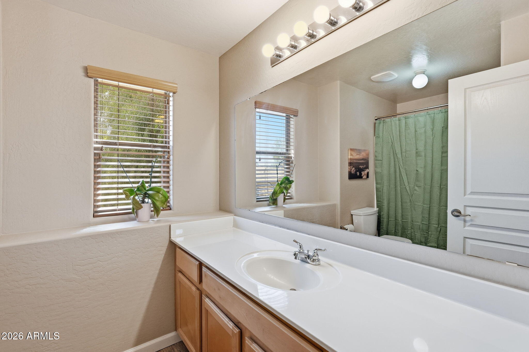 45512 West Long Way Maricopa, AZ 85139 - Photo 29 of 60 039_ListerPros