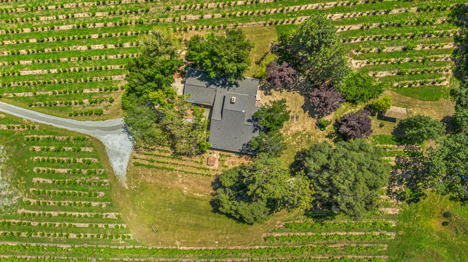 7460 Fairplay Road Somerset, CA 95684 - Photo 22 of 39
