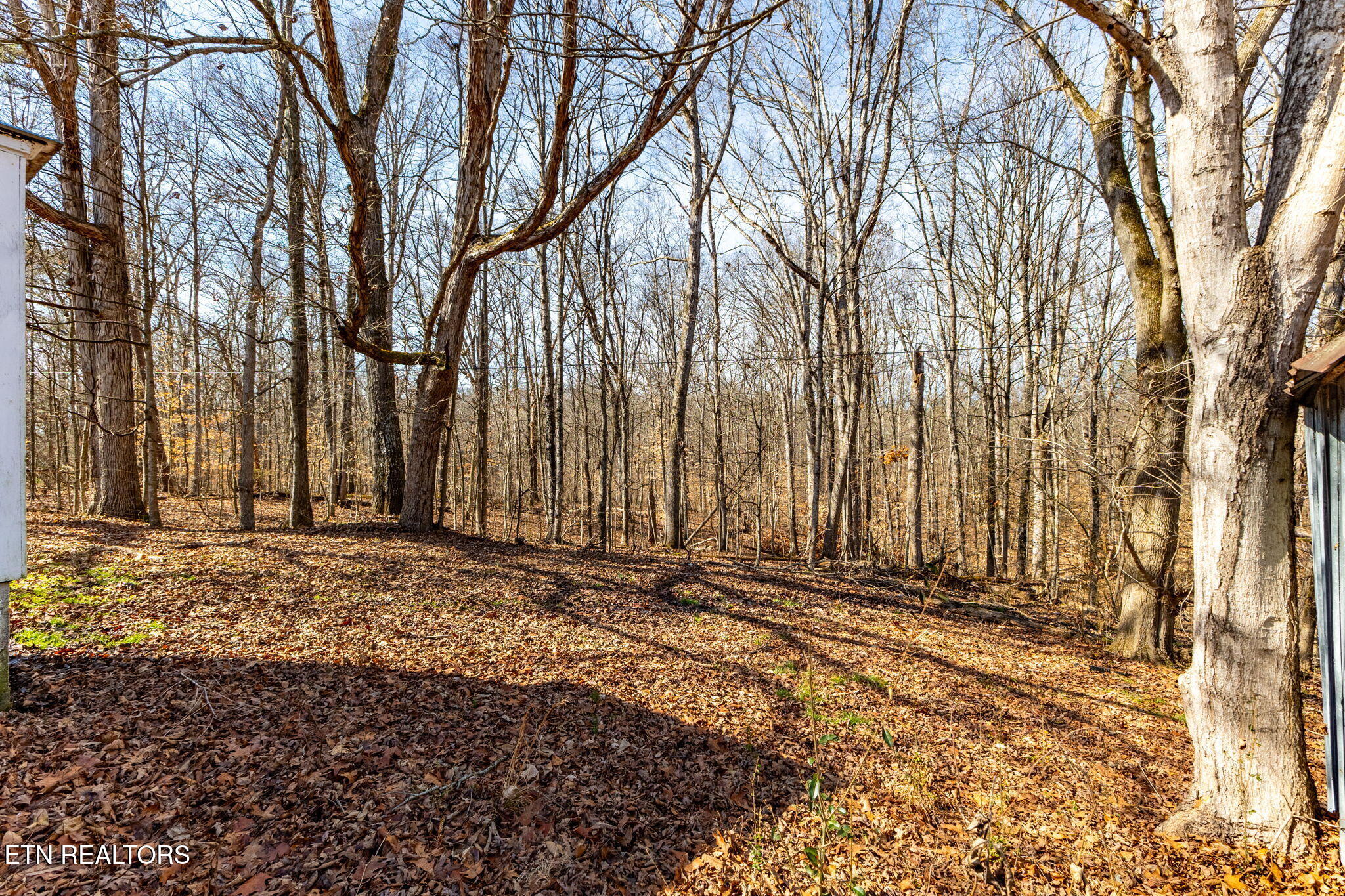 515 Millers Chapel Road Greeneville, TN 37745 - Photo 19 of 22 56-web-or-mls-3F1A7465-HDR