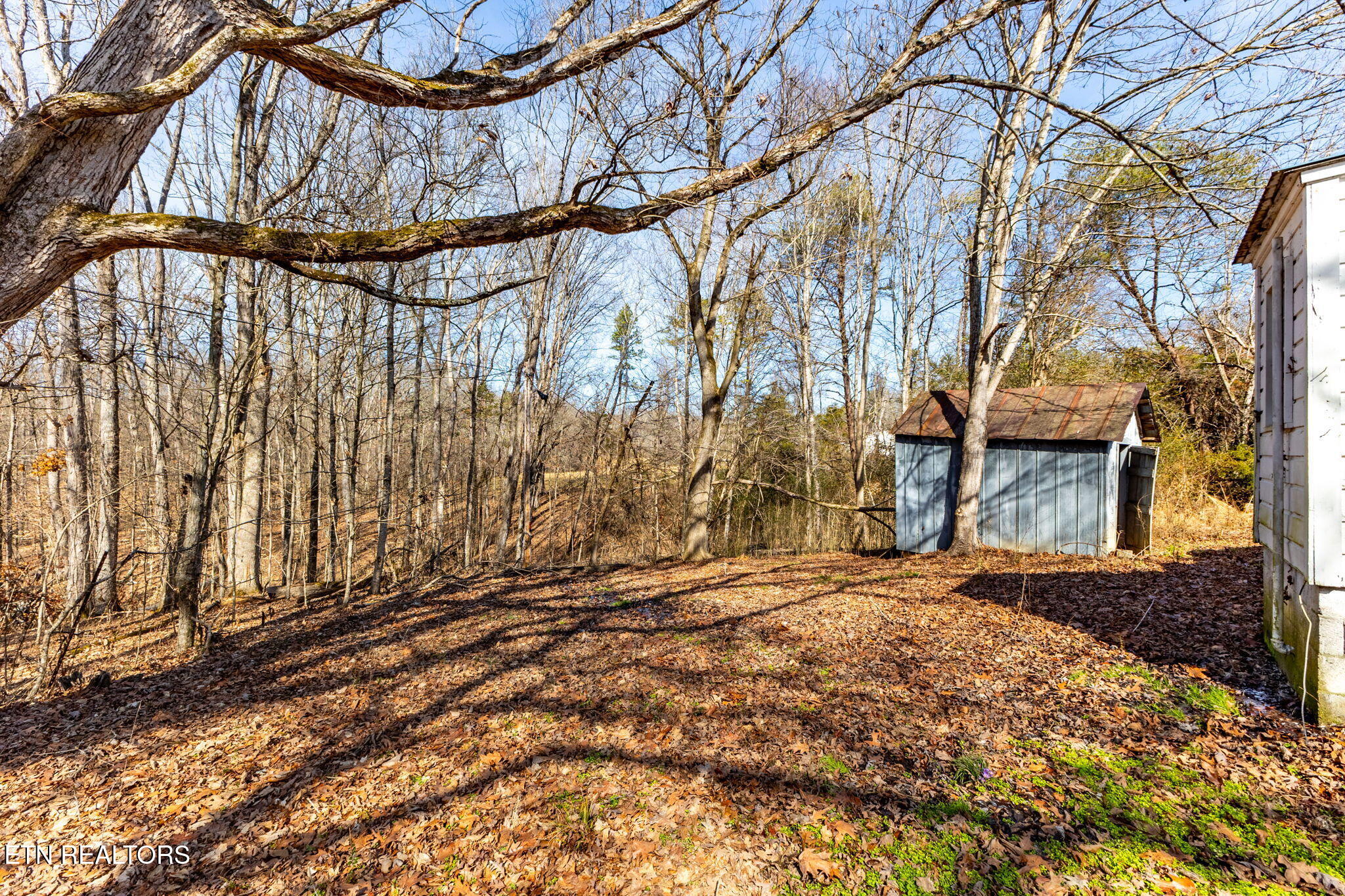 515 Millers Chapel Road Greeneville, TN 37745 - Photo 21 of 22 58-web-or-mls-3F1A7471-HDR