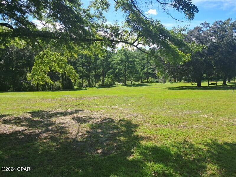 3402 Corgi Lane Chipley, FL 32428 - Photo 5 of 42