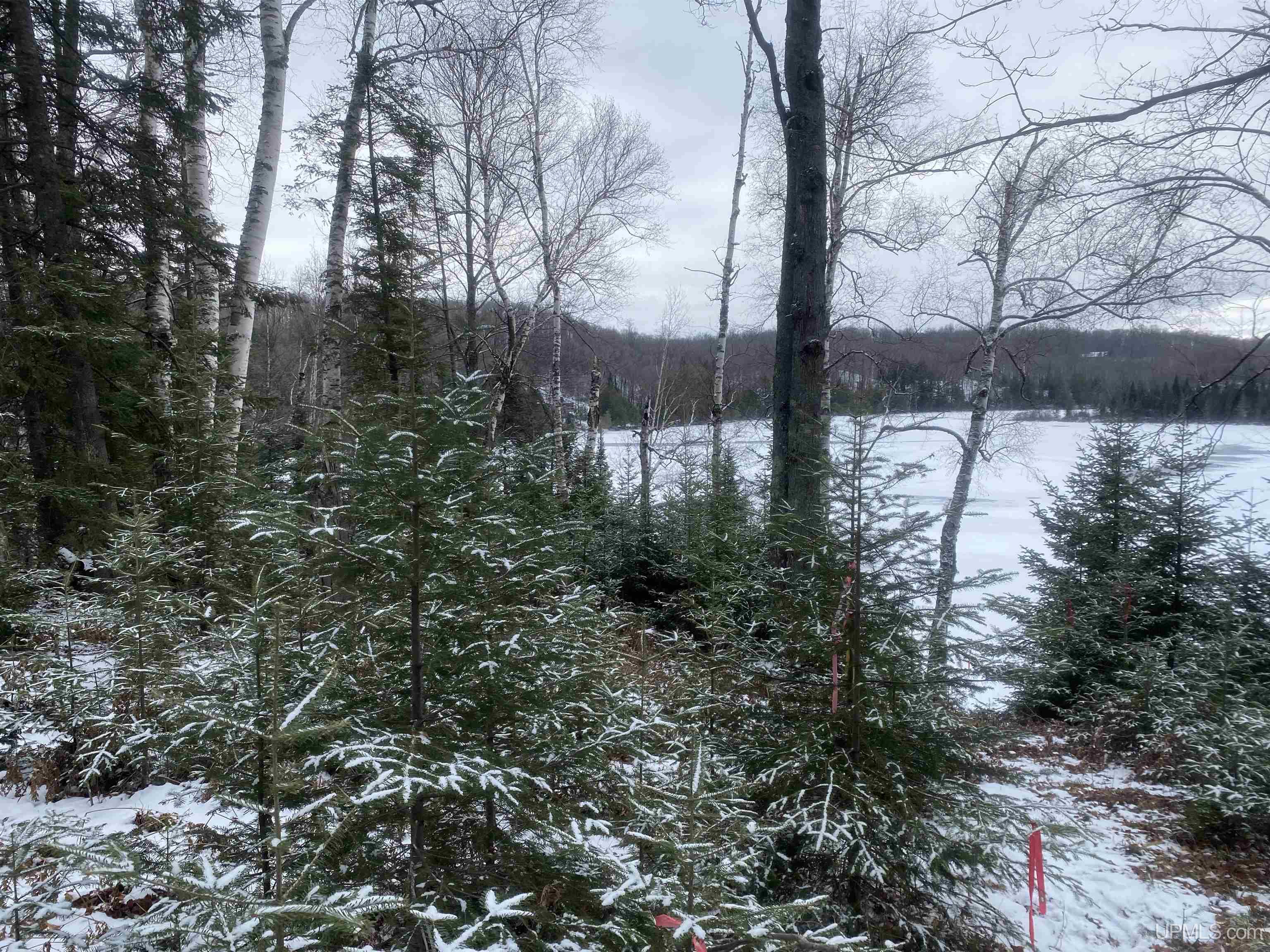 Tbd Pomeroy Lk Road Marenisco, MI 49947 - Photo 4 of 6