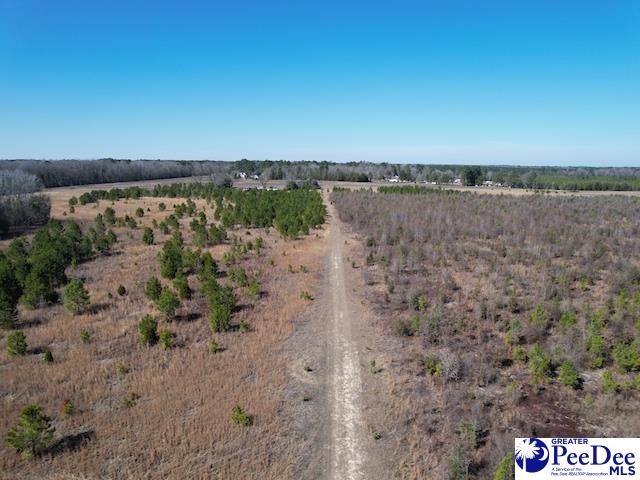 Tbd Paper Mill Road Florence, SC 29505 - Photo 12 of 28 Gallery Image 12