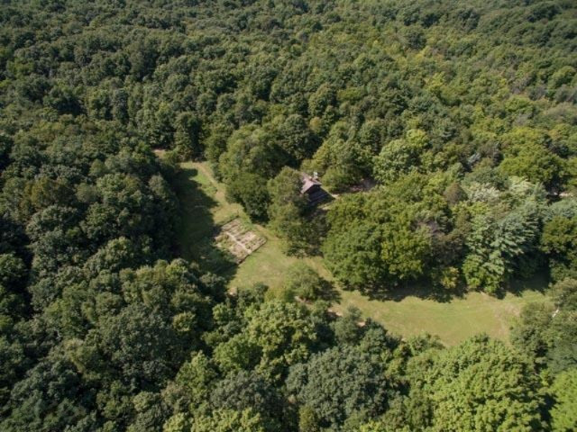 595 East Buchanan Road Shelby, MI 49455 - Photo 3 of 53 DJI_0091