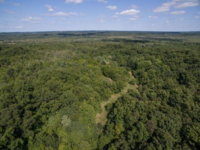 595 East Buchanan Road Shelby, MI 49455 - Photo 5 of 53 DJI_0089